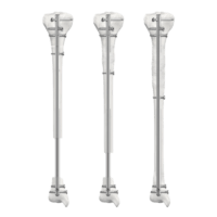 Precice® Bone Transport