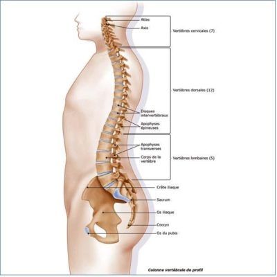 Chirurgie du rachis 